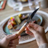 Нож филейный OPINEL №10, нержавеющая сталь, рукоять оливковое дерево 002562